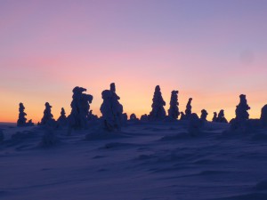 himmel-auf-erden-Kuero